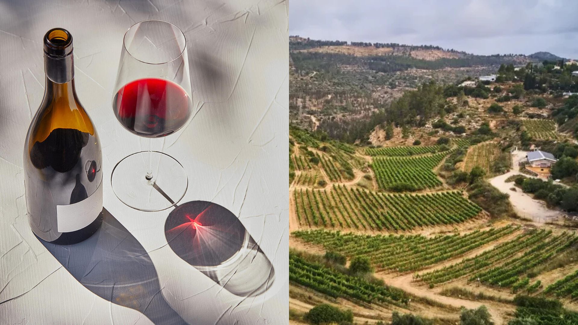 Lechaim! È made in Israel uno dei migliori vini del mondo